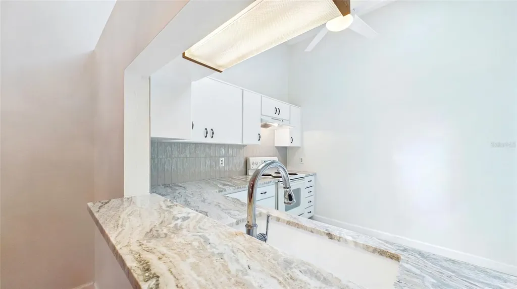 1539 Rebecca Lane Dunedin FL 34698