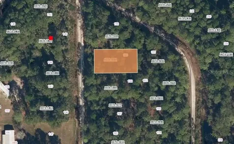 106 Mosswood Street Georgetown FL 32139