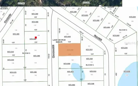 106 Mosswood Street Georgetown FL 32139