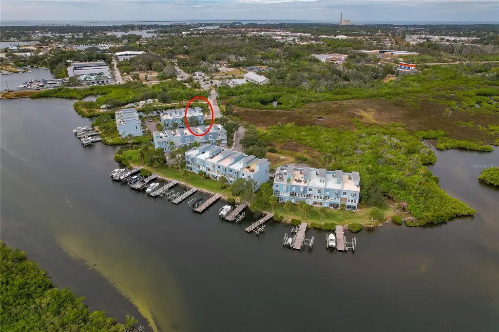1197 Flying Fish Lane Tarpon Springs FL 34689