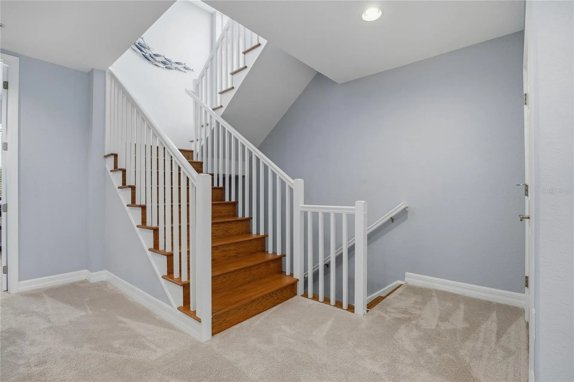 1197 Flying Fish Lane Tarpon Springs FL 34689