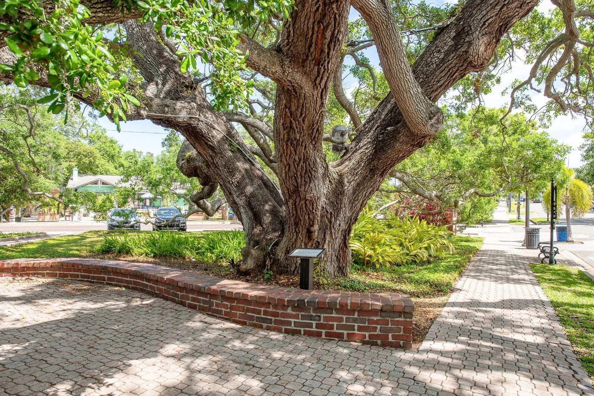 952 Virginia Street Dunedin FL 34698