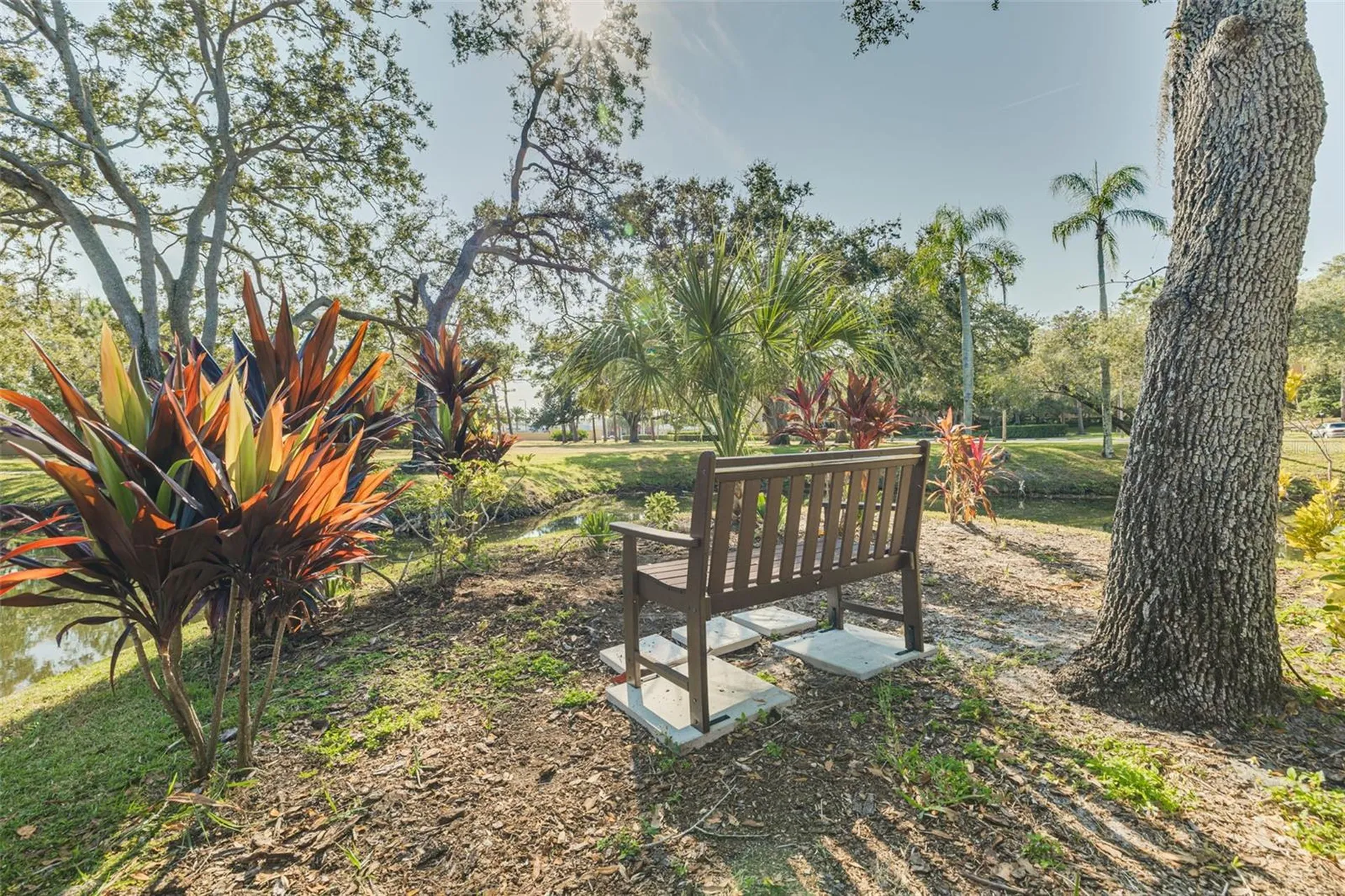 3062 Eastland Boulevard Clearwater FL 33761