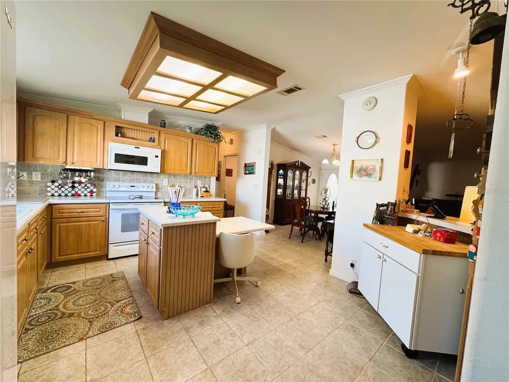107 Hibiscus Way Leesburg FL 34748