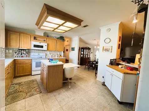 107 Hibiscus Way Leesburg FL 34748