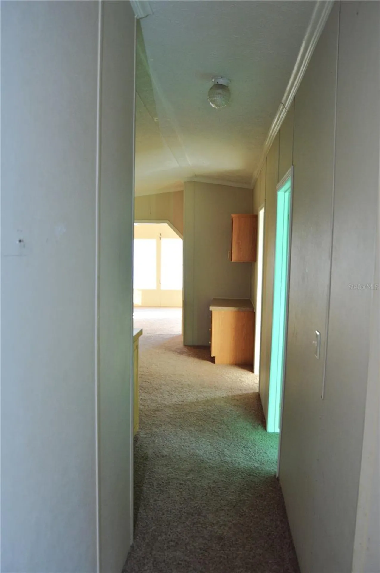 4041 SE 56th Terrace Ocala FL 34480