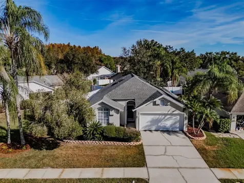 13419 Eudora Place Tampa FL 33626
