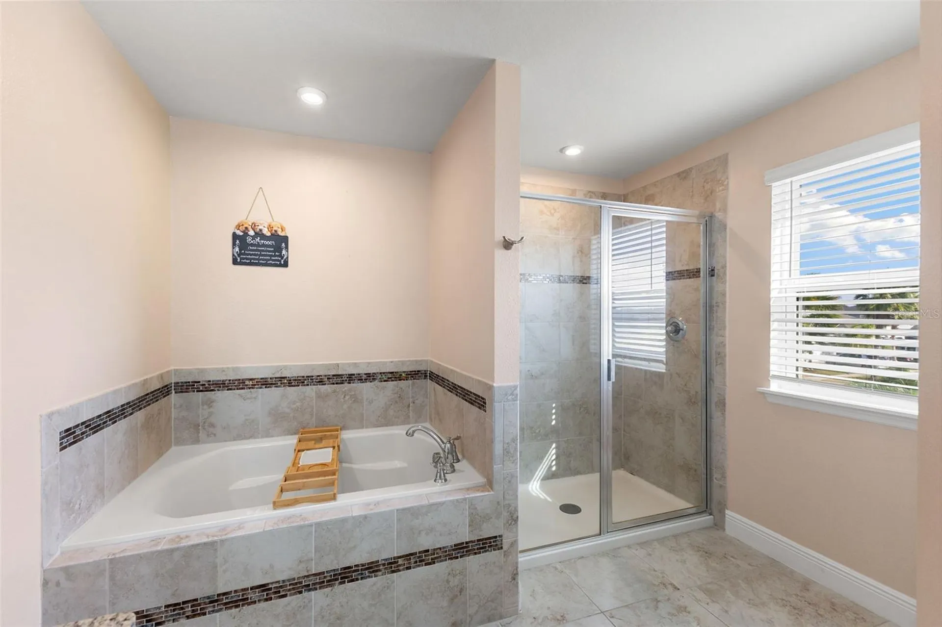 11702 Lake Lucaya Drive Riverview FL 33579