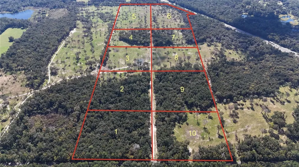 Drive #7 (10ac) NW 193rd Street Micanopy FL 32667
