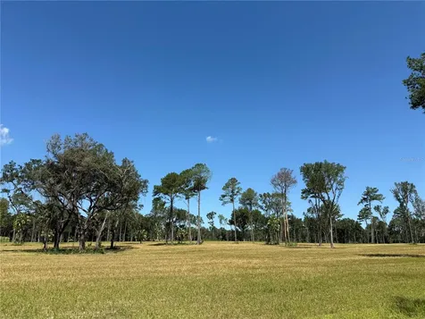 Drive #7 (10ac) NW 193rd Street Micanopy FL 32667
