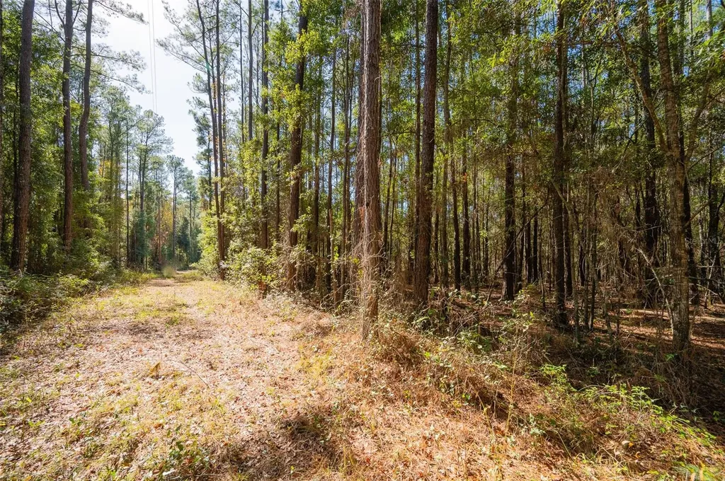 Tbd N County Road 1491 Alachua FL 32615