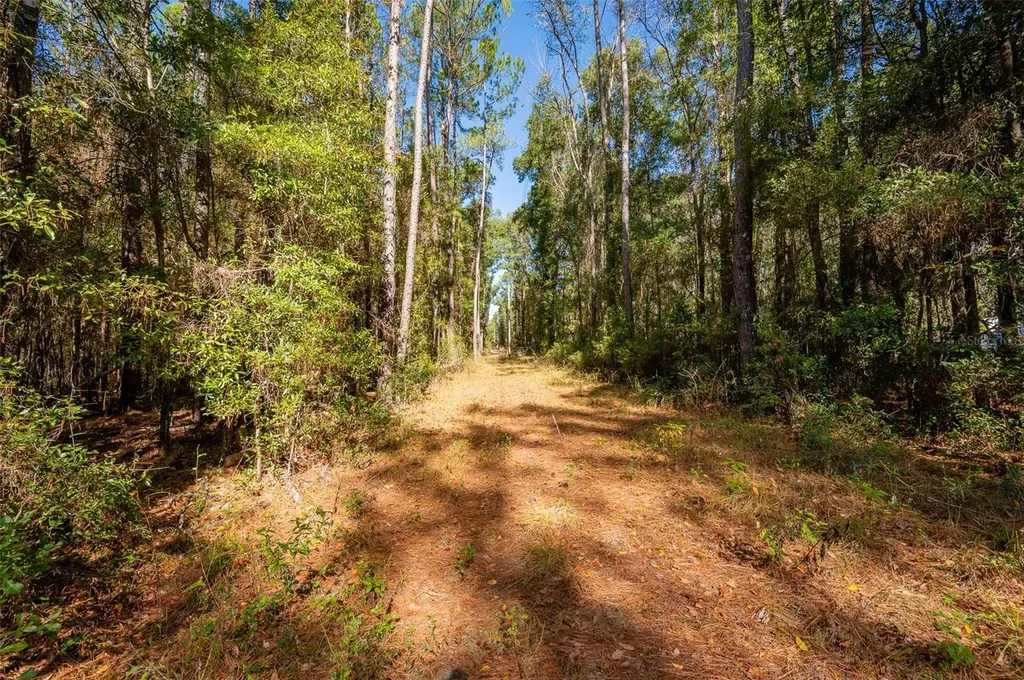Tbd N County Road 1491 Alachua FL 32615