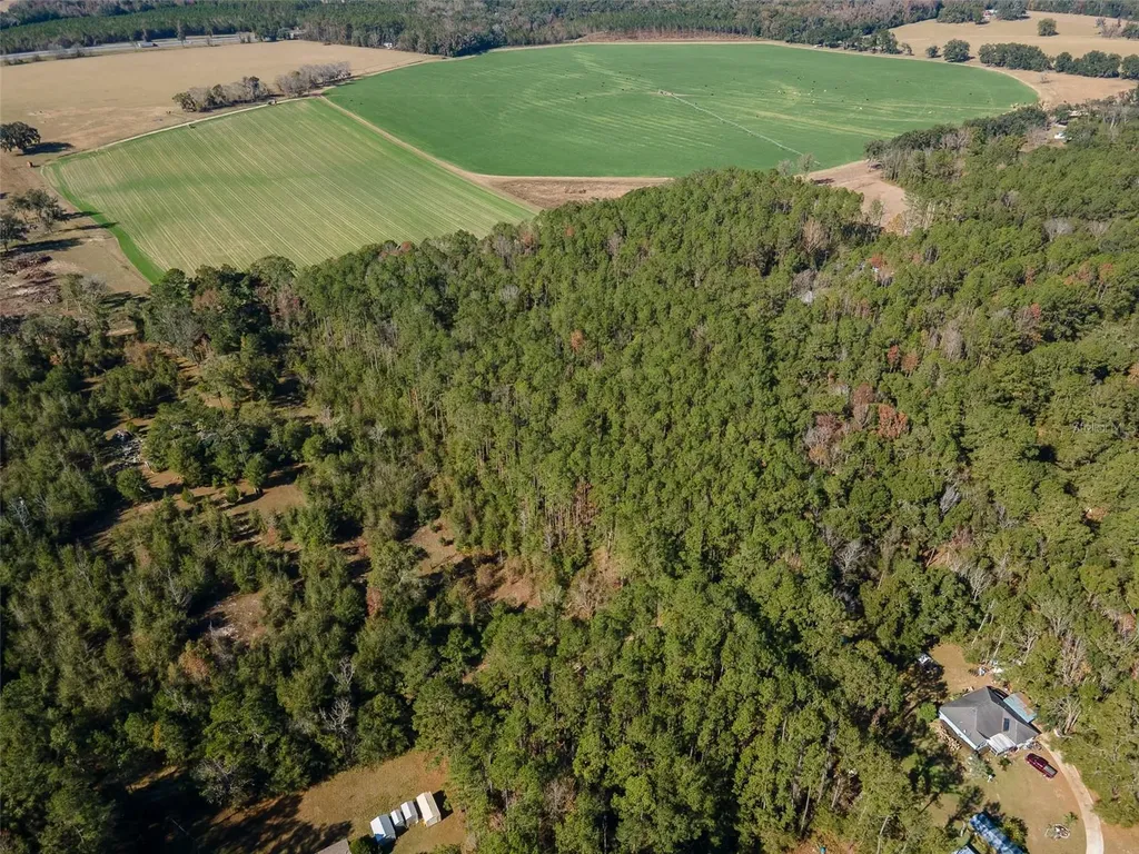 Tbd N County Road 1491 Alachua FL 32615