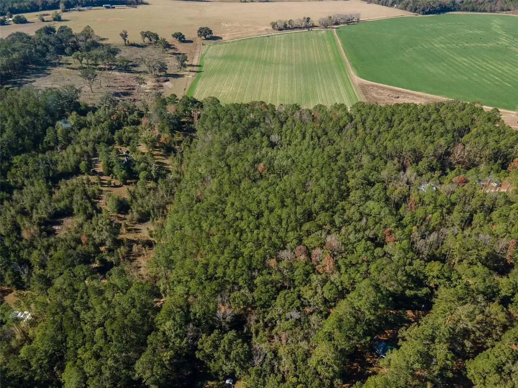 Tbd N County Road 1491 Alachua FL 32615