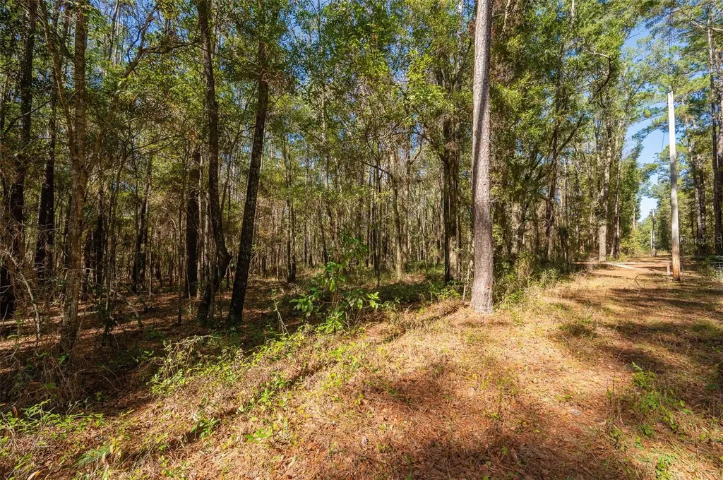 Tbd N County Road 1491 Alachua FL 32615