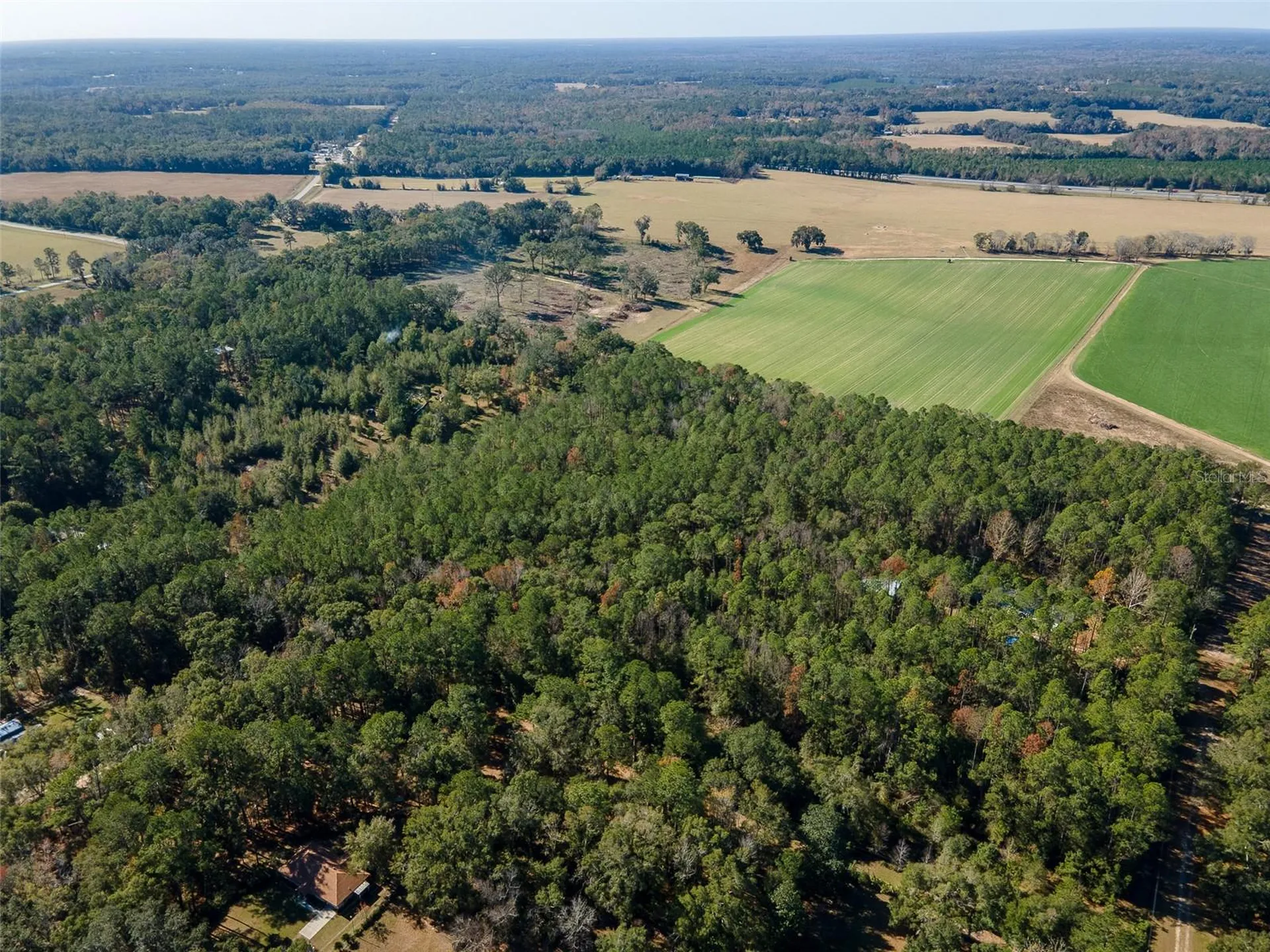 Tbd N County Road 1491 Alachua FL 32615