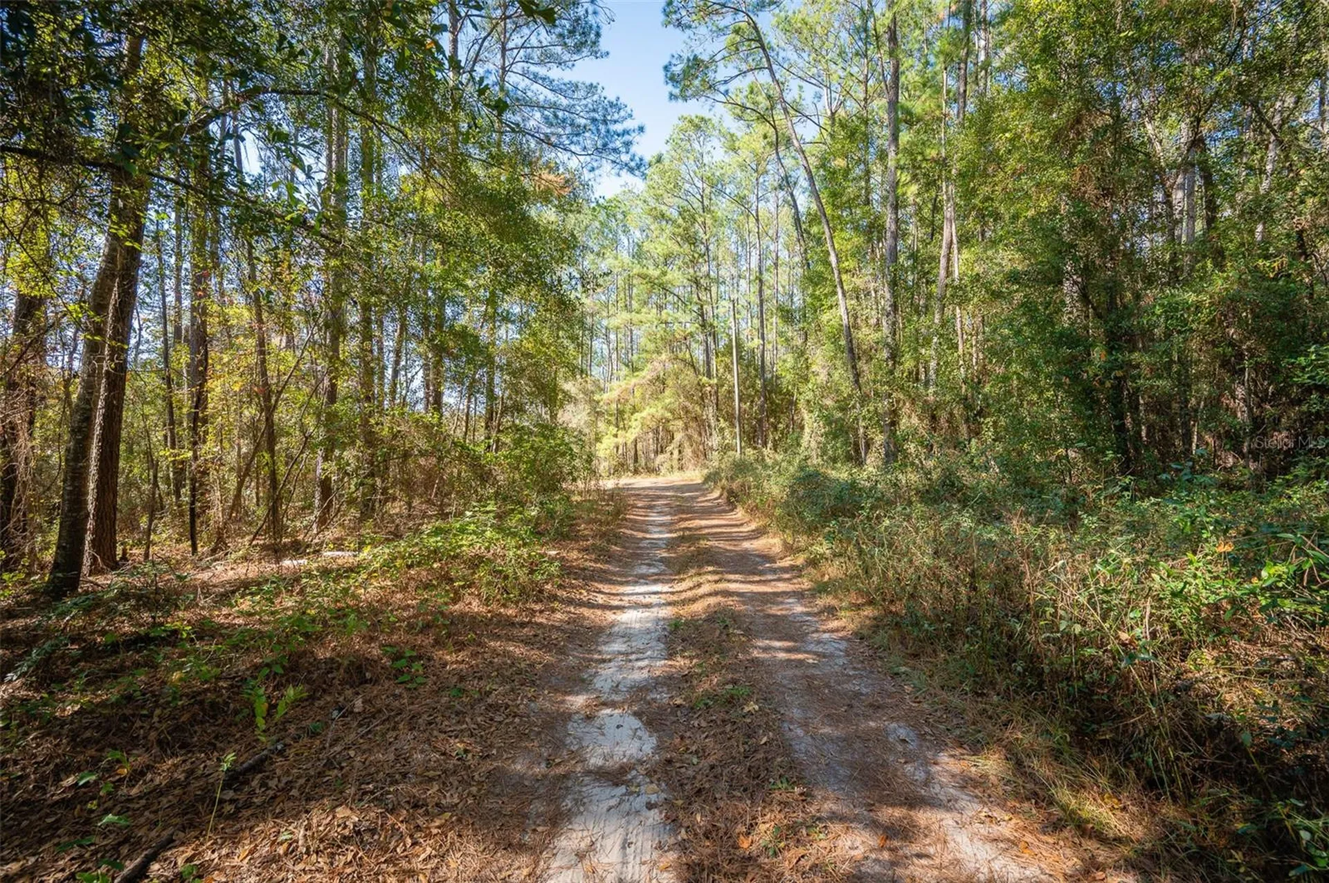 Tbd N County Road 1491 Alachua FL 32615