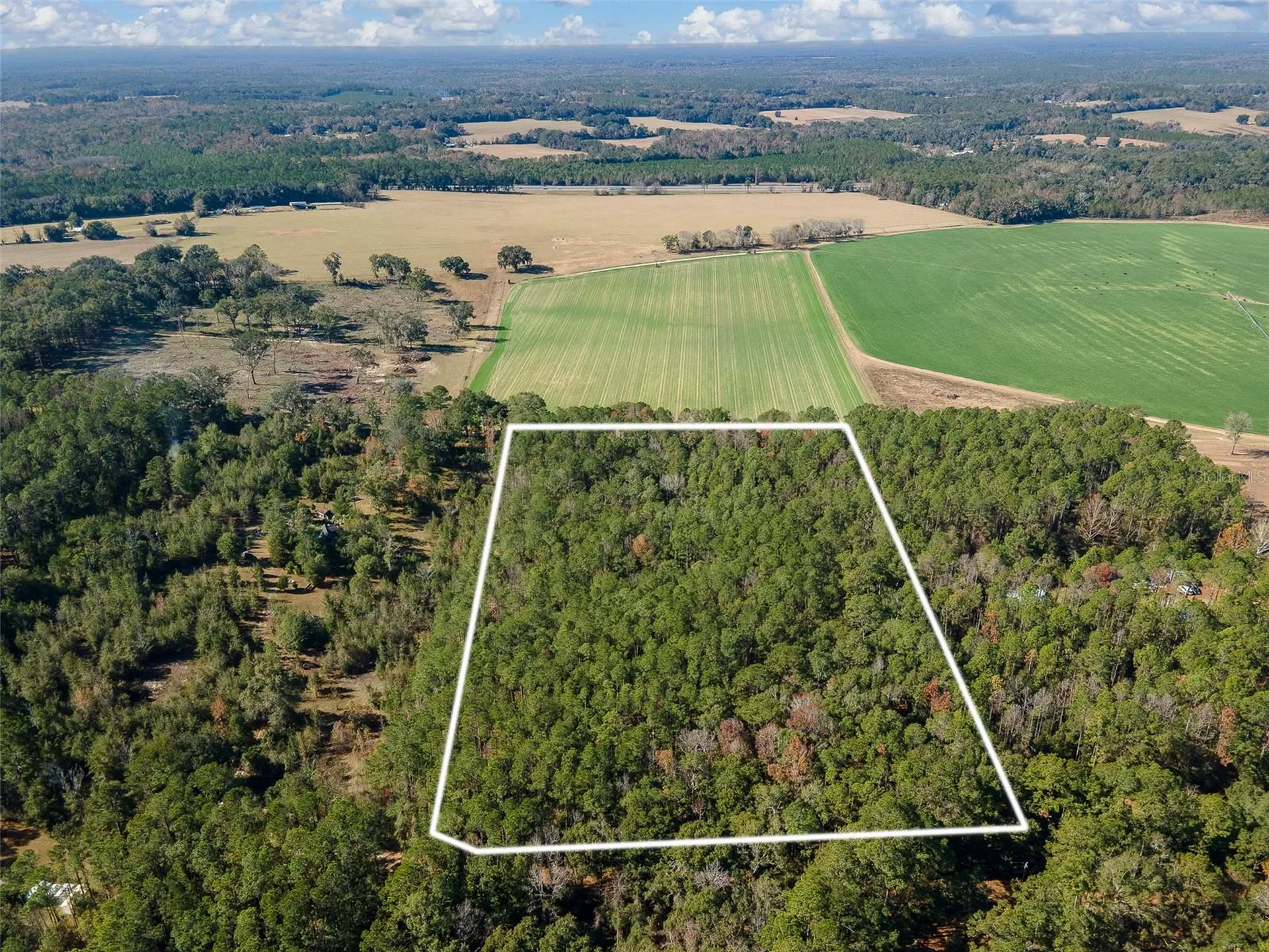 Tbd N County Road 1491 Alachua FL 32615