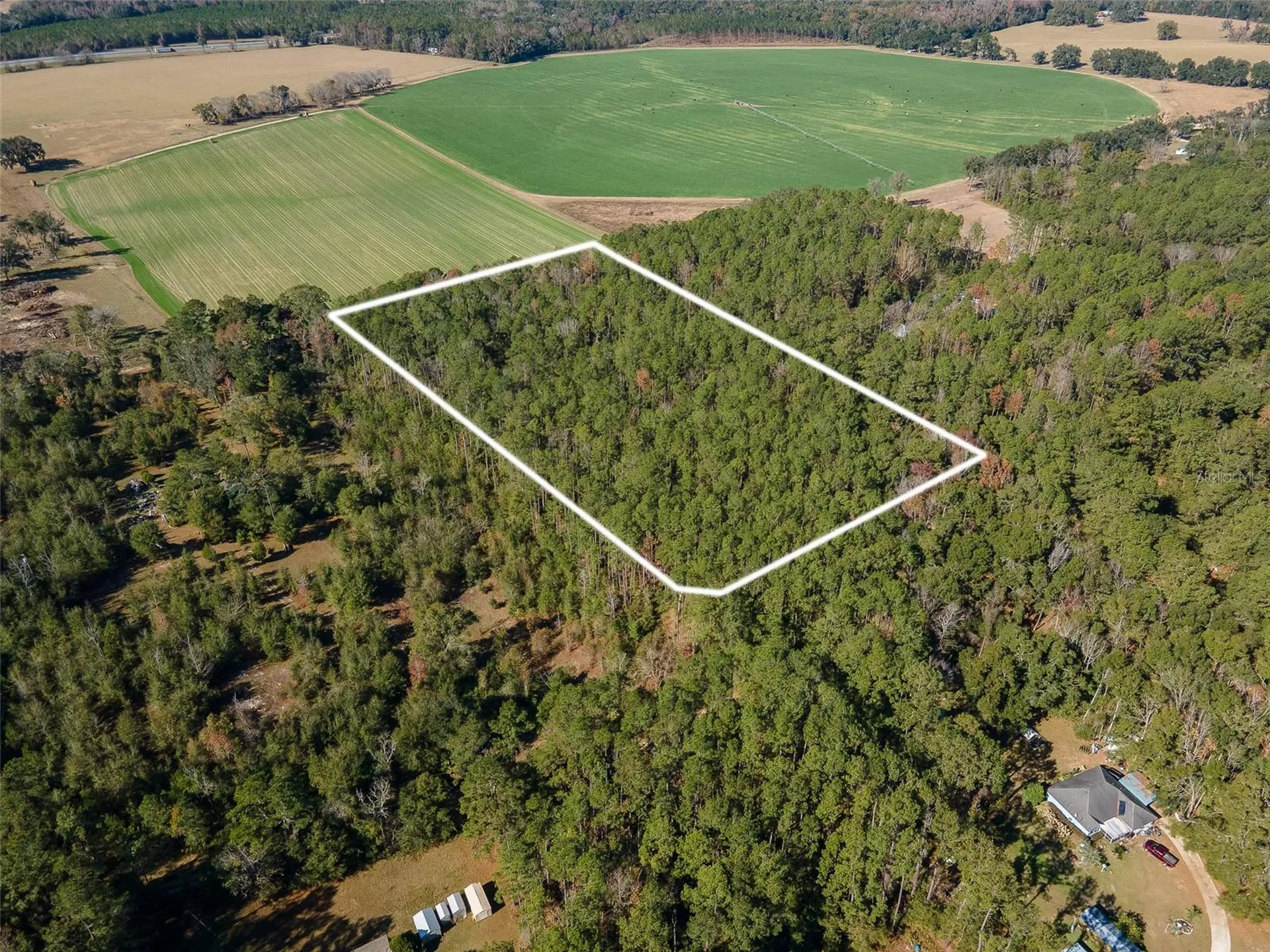 Tbd N County Road 1491 Alachua FL 32615