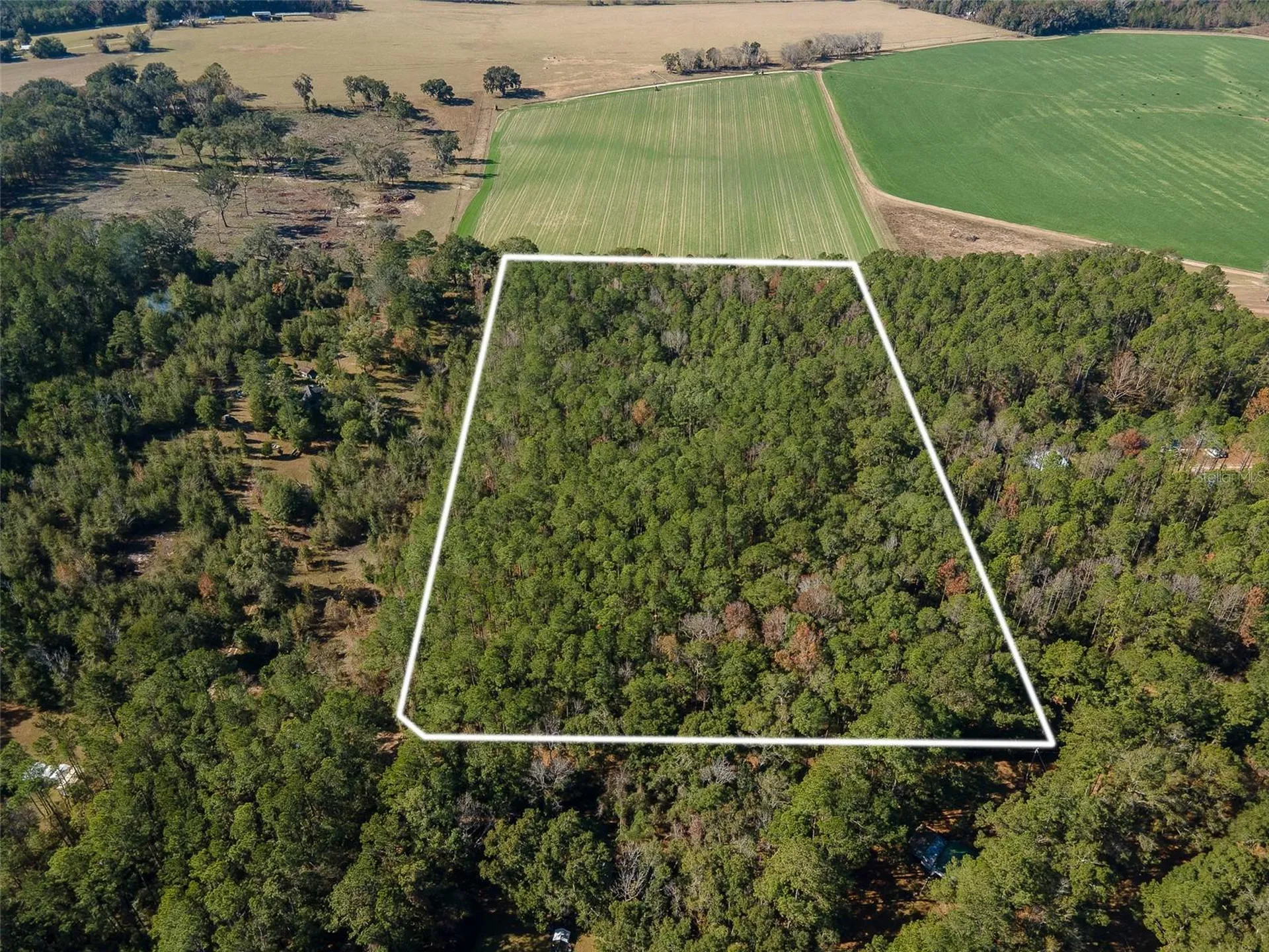 Tbd N County Road 1491 Alachua FL 32615