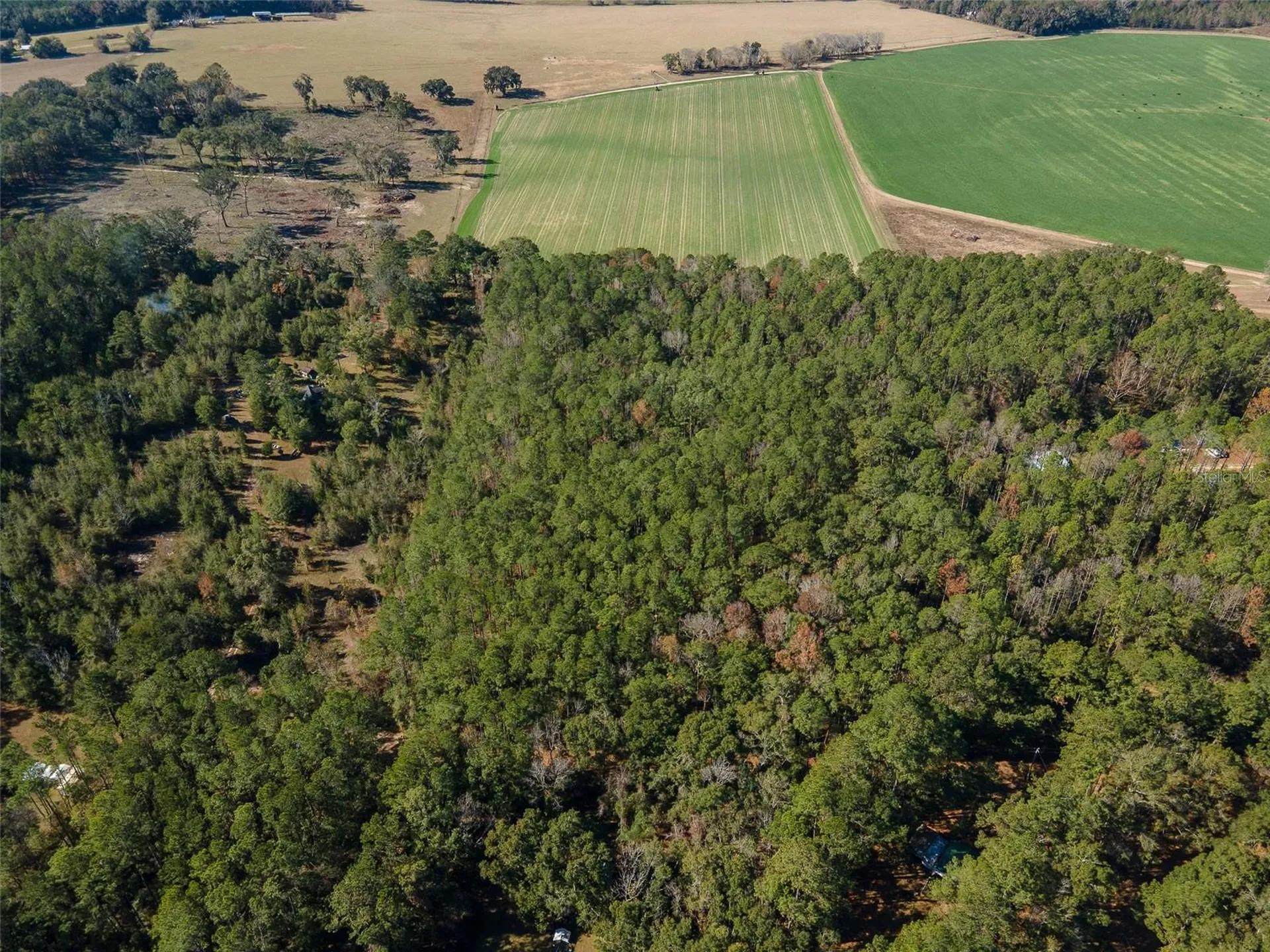 Tbd N County Road 1491 Alachua FL 32615