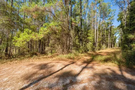 Tbd N County Road 1491 Alachua FL 32615