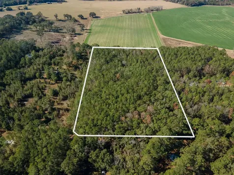 Tbd N County Road 1491 Alachua FL 32615