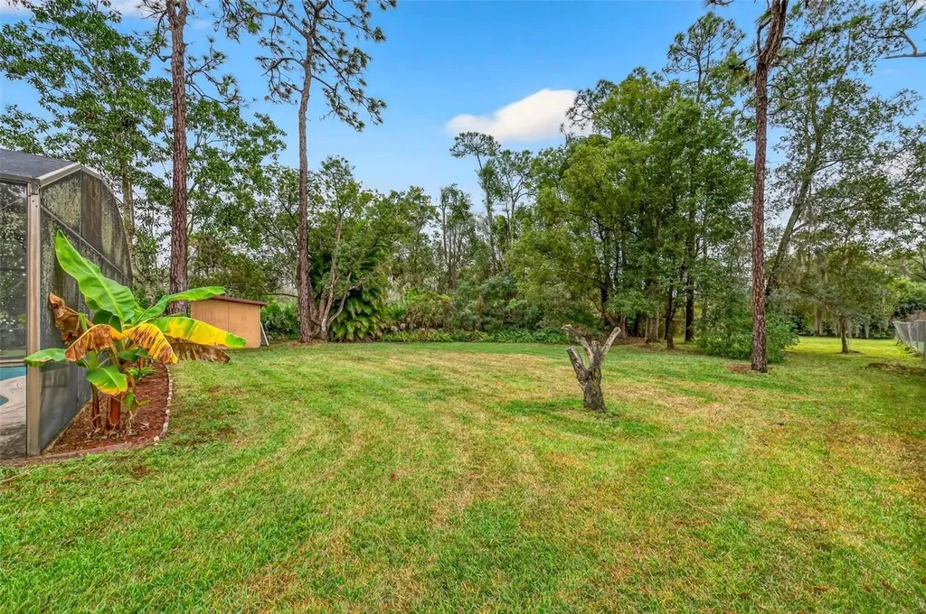 825 Arden Street Longwood FL 32750