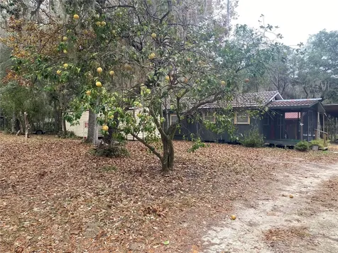 8093 Breezy Point Road E Melrose FL 32666