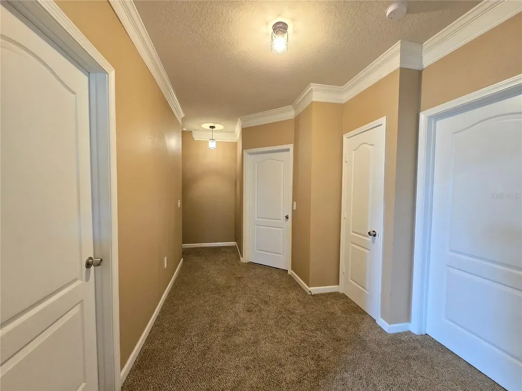 10424 Villa View Circle Tampa FL 33647