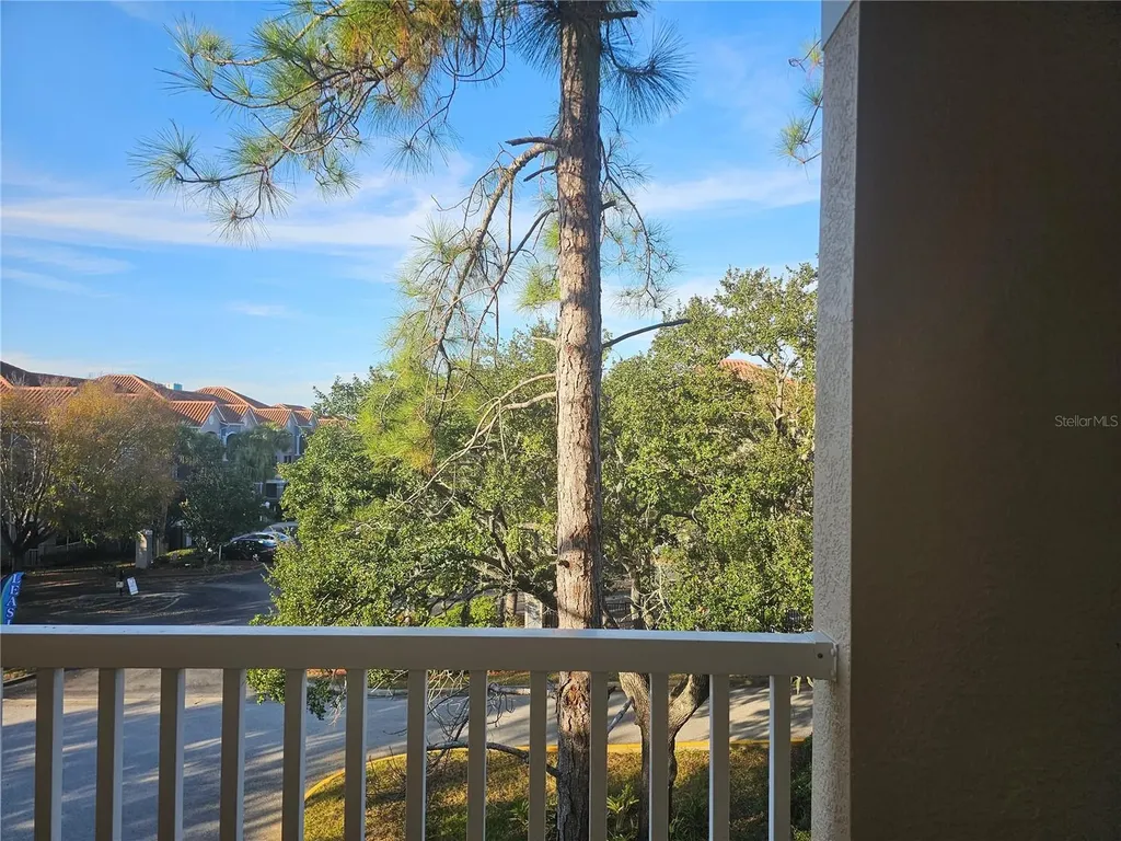 1216 S Missouri Avenue Clearwater FL 33756