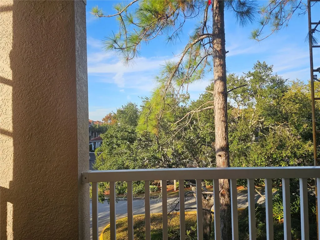 1216 S Missouri Avenue Clearwater FL 33756