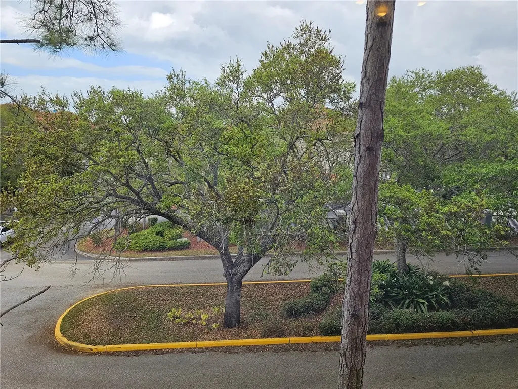 1216 S Missouri Avenue Clearwater FL 33756