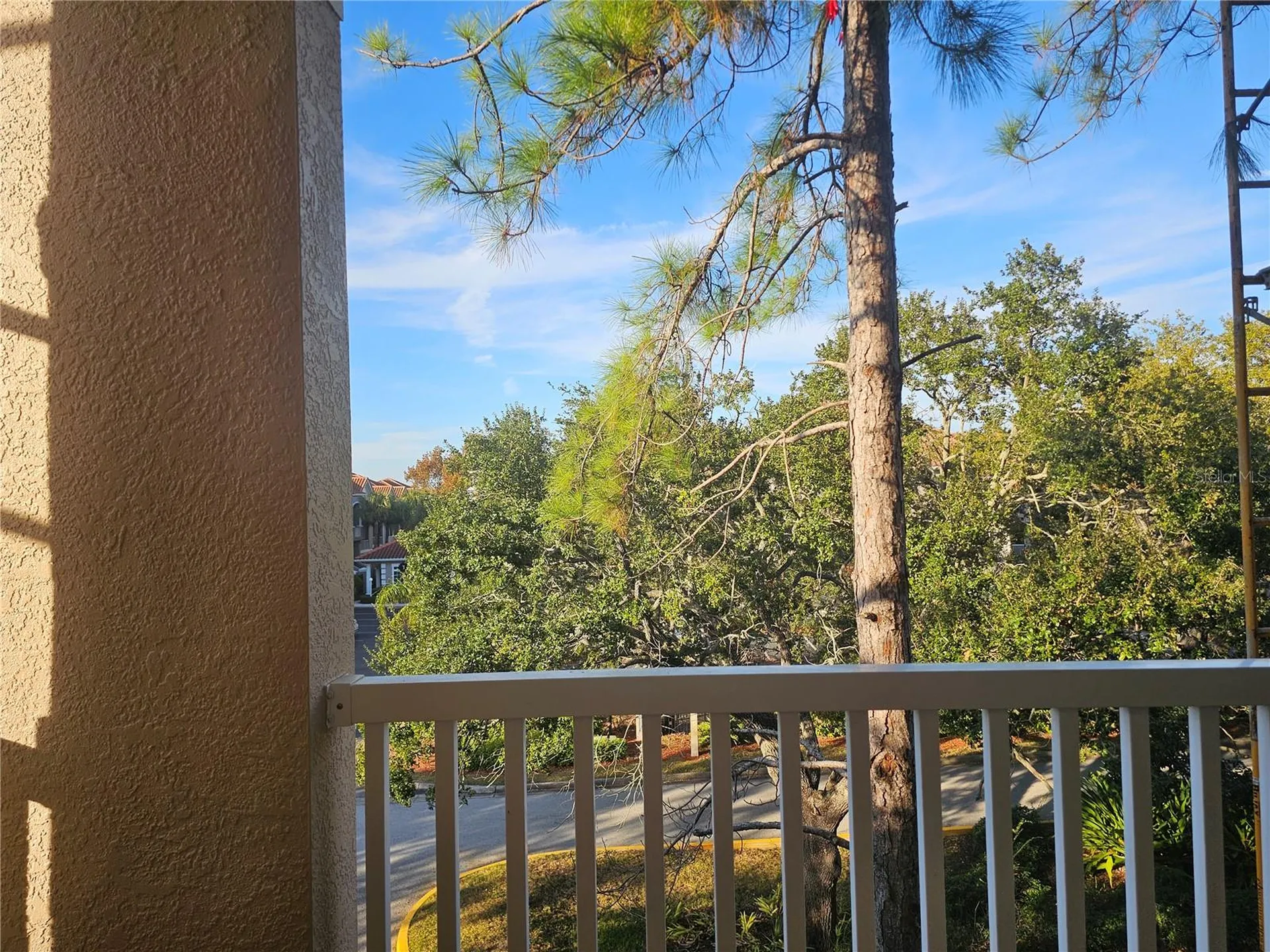1216 S Missouri Avenue Clearwater FL 33756