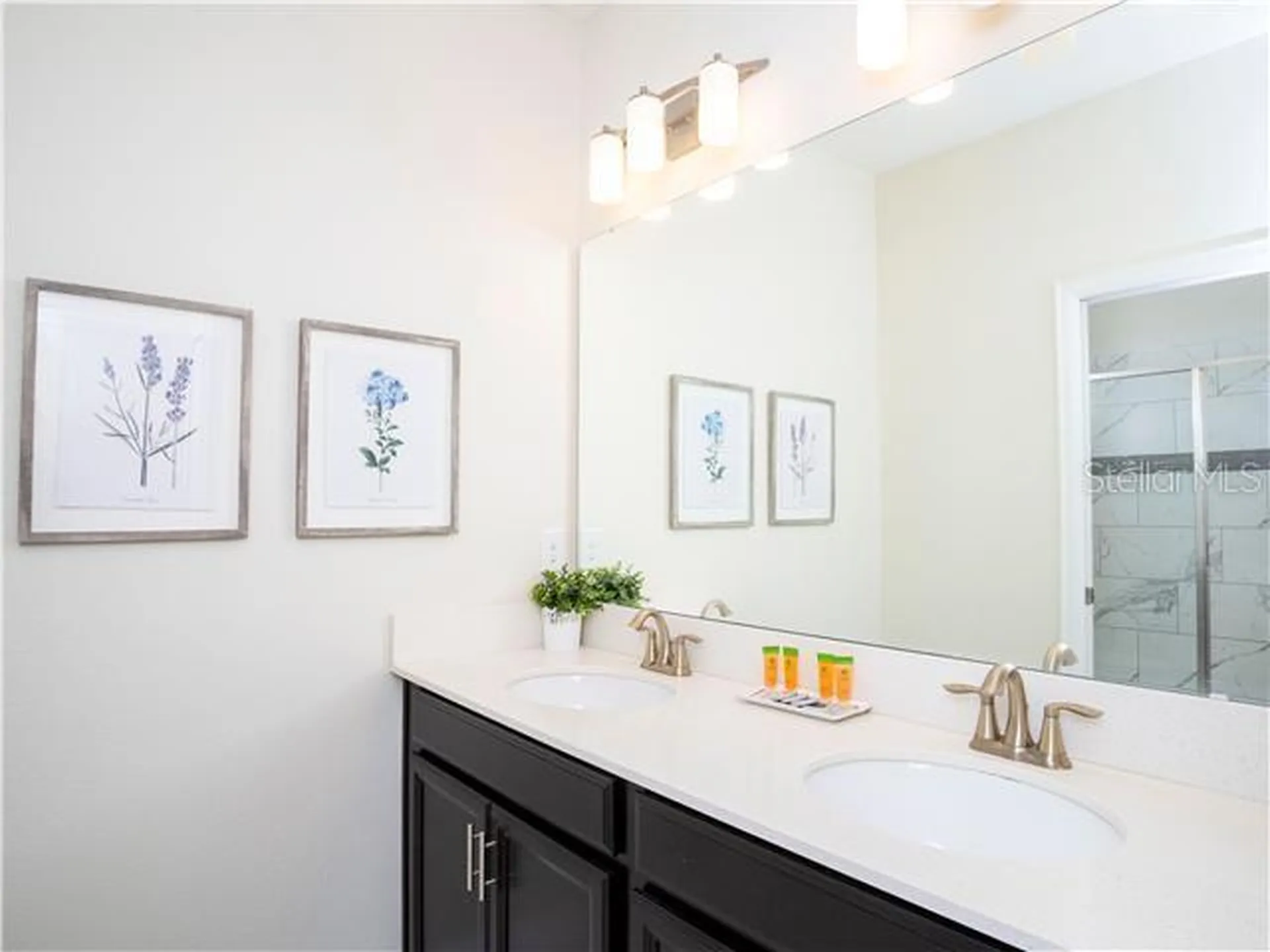 1568 Maidstone Court Davenport FL 33896