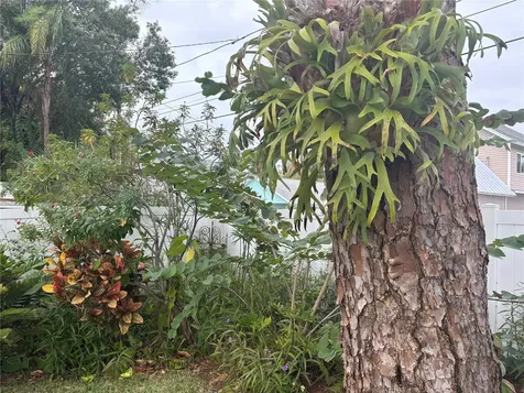 512 Tennessee Avenue Crystal Beach FL 34681