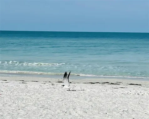 512 Tennessee Avenue Crystal Beach FL 34681