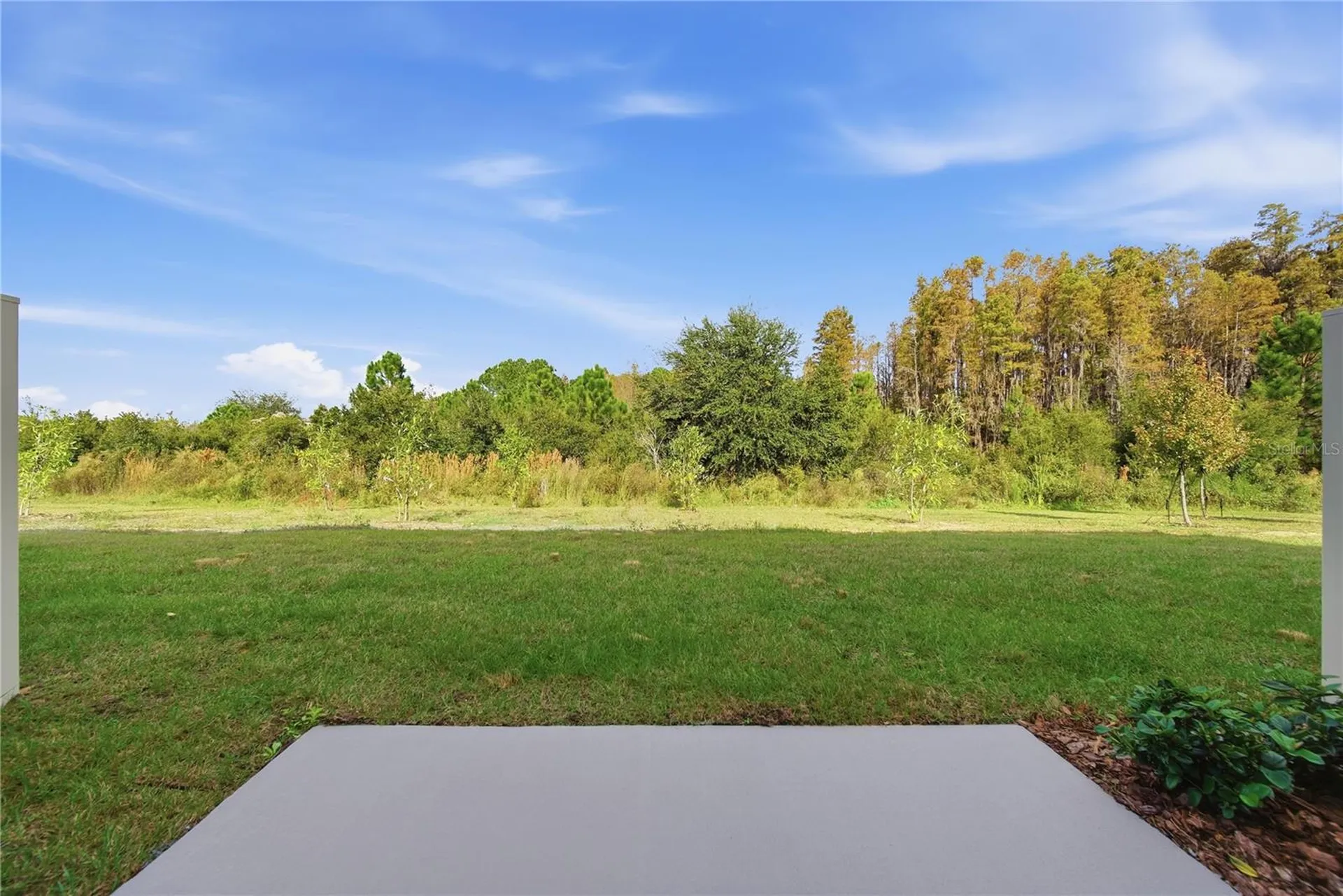 32497 Midsummer Night Lane Wesley Chapel FL 33543