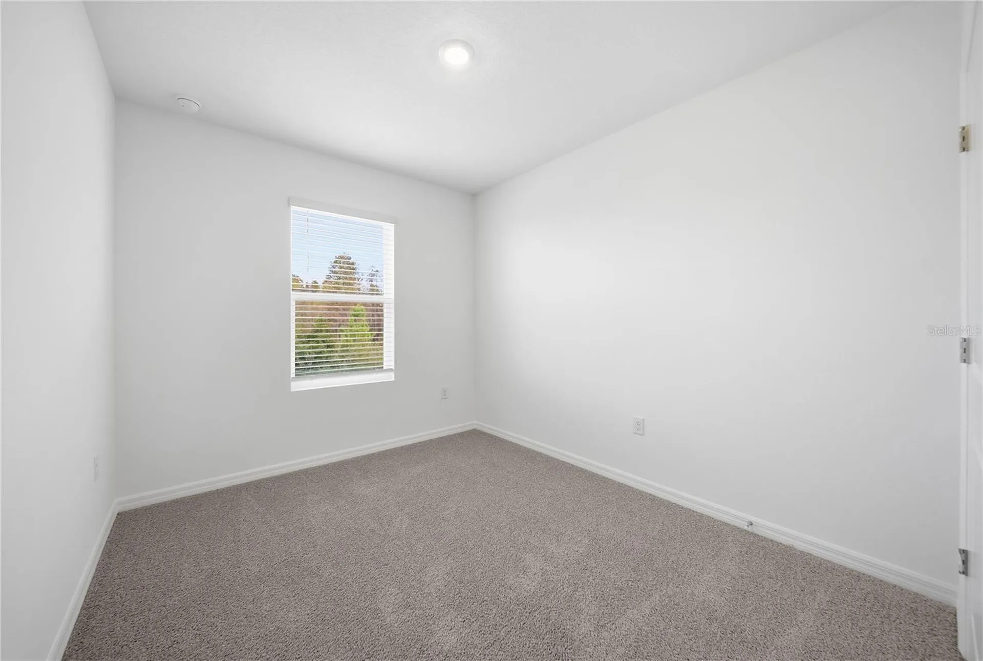 32497 Midsummer Night Lane Wesley Chapel FL 33543