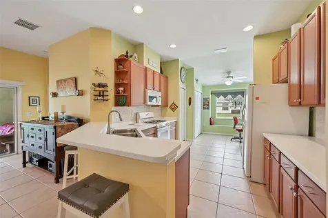 2103 Grantham Greens Drive Sun City Center FL 33573