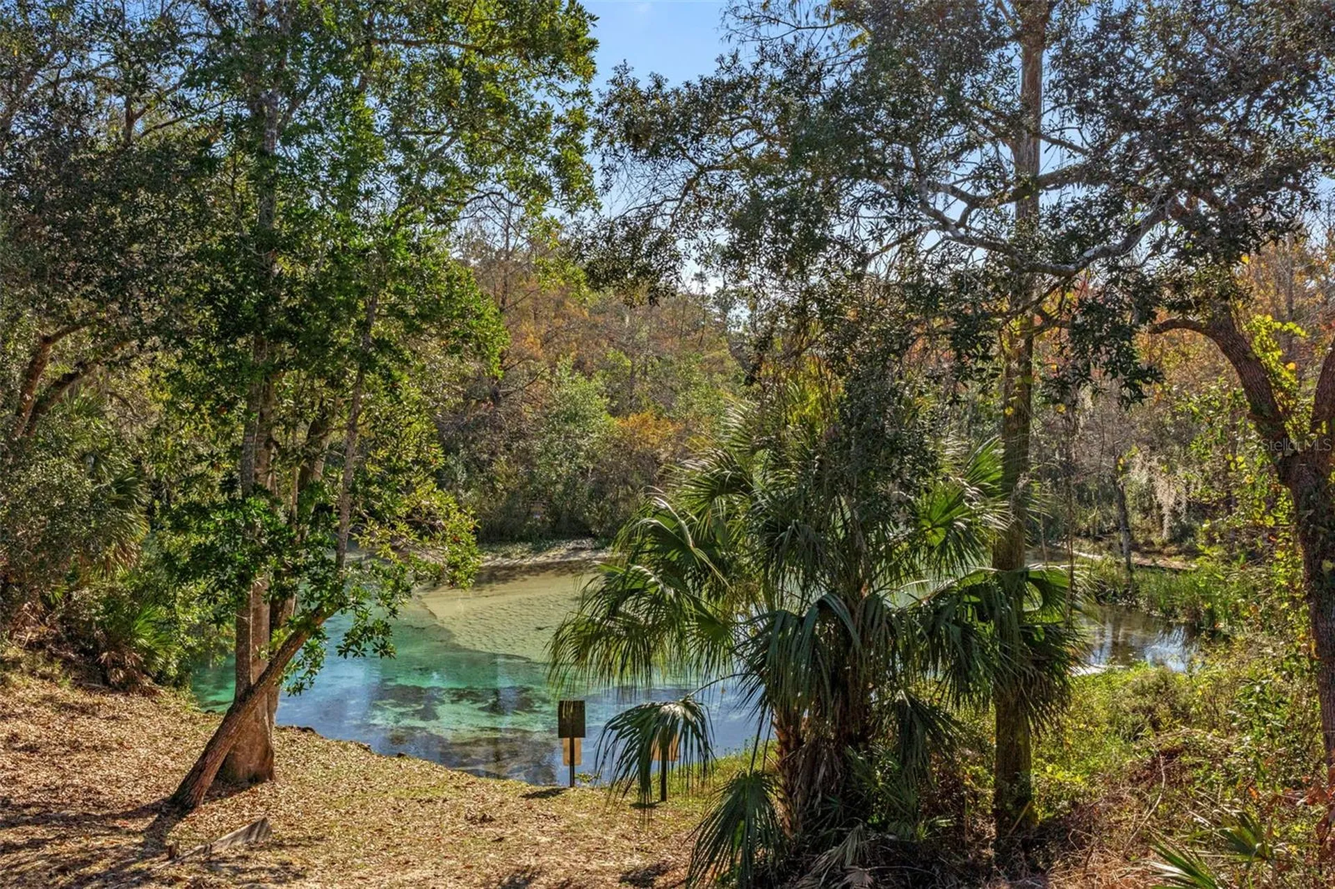 7268 Crystal Spring Run Weeki Wachee FL 34607