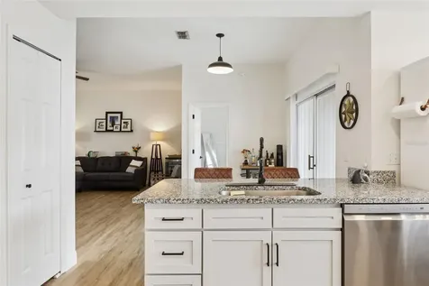 1724 Dorset Drive Mount Dora FL 32757