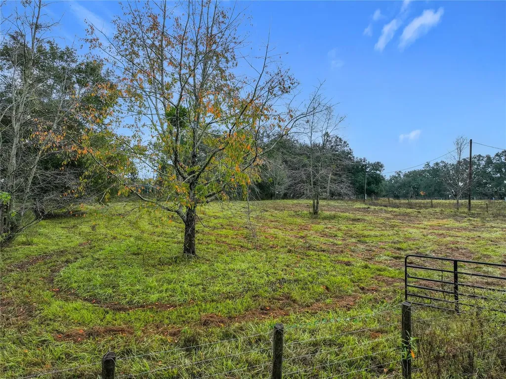County Road 209 Oxford FL 34484