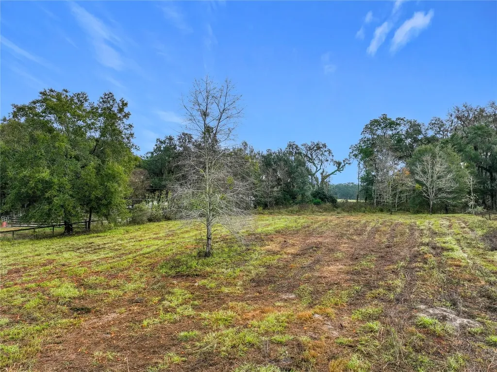 County Road 209 Oxford FL 34484