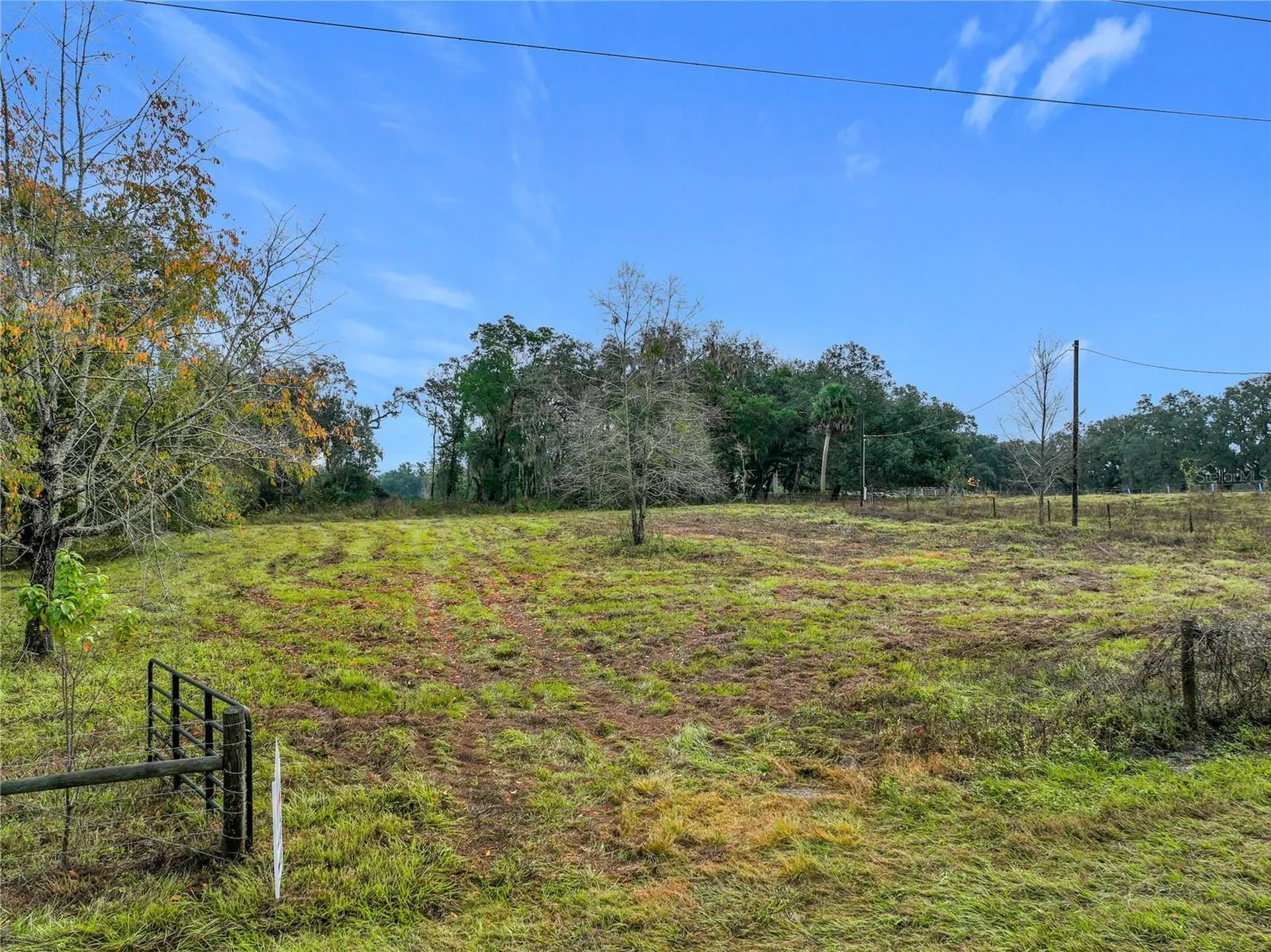 County Road 209 Oxford FL 34484