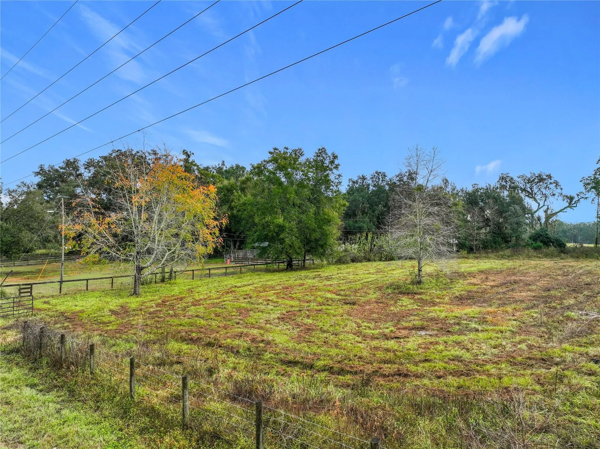 County Road 209 Oxford FL 34484