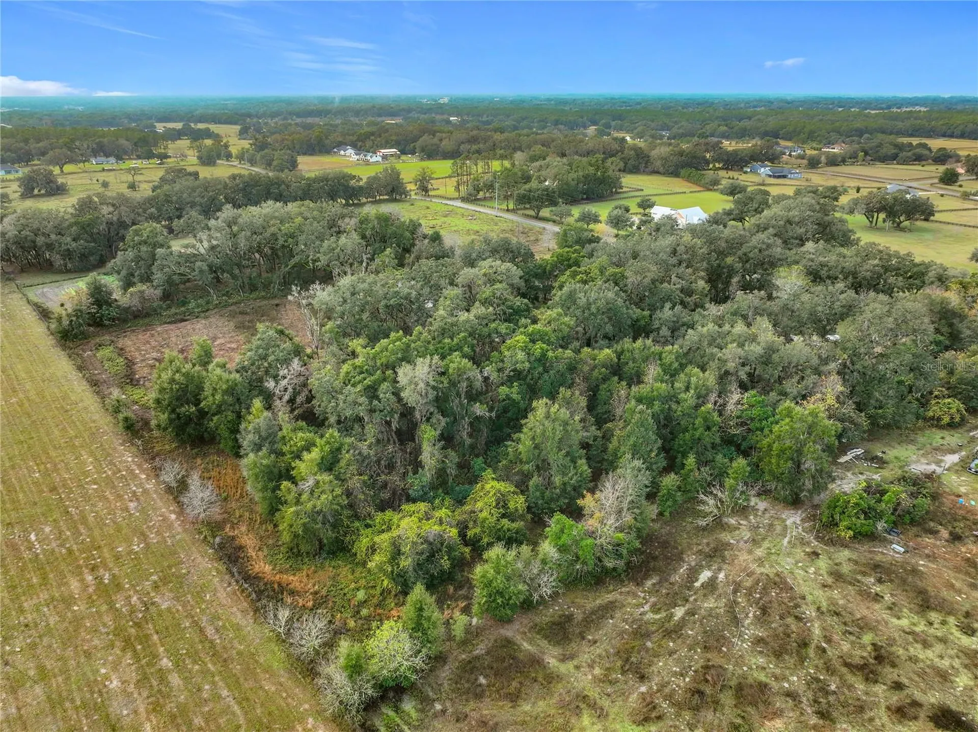 County Road 209 Oxford FL 34484