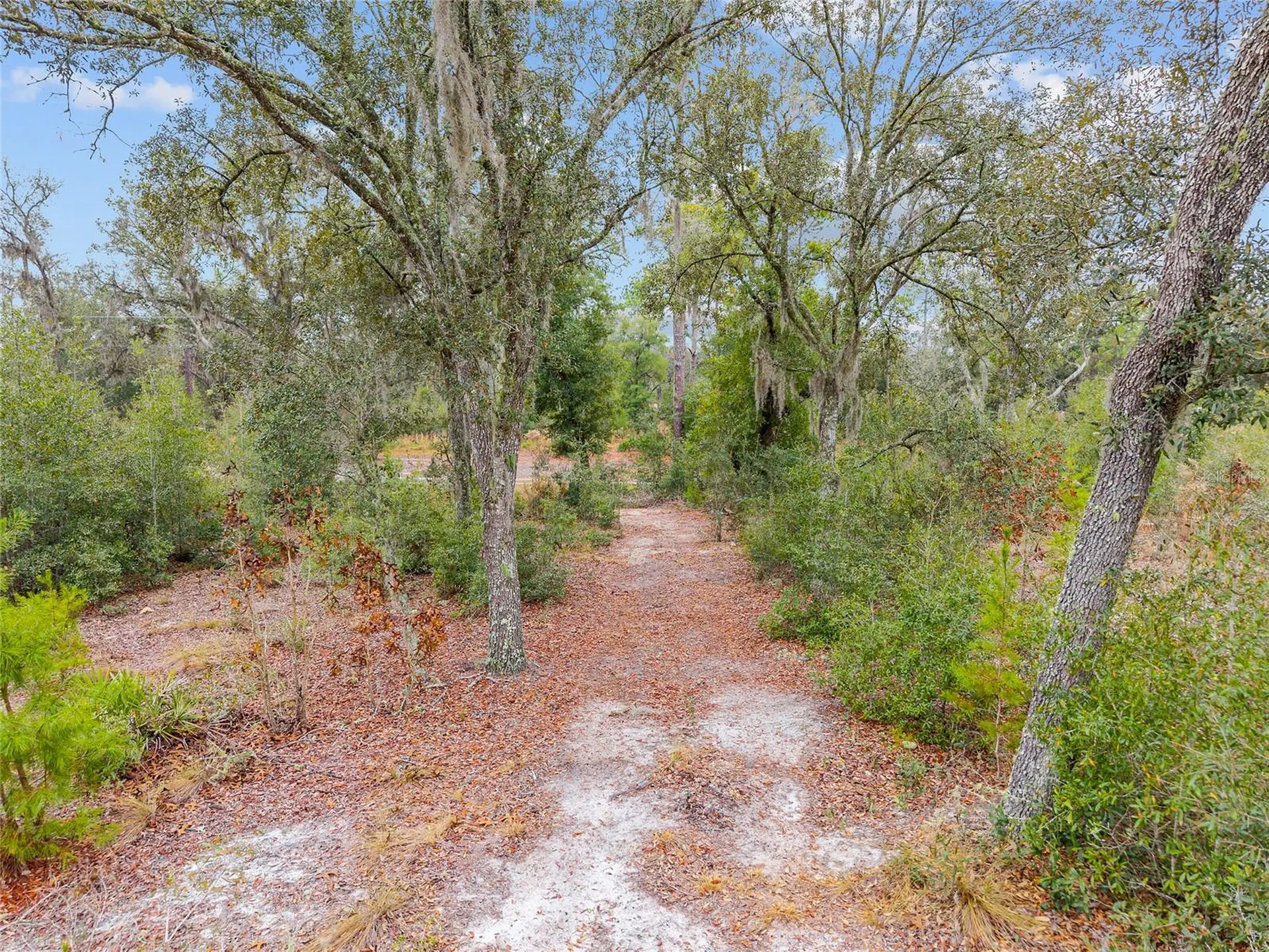 NE 131 Place Archer FL 32618