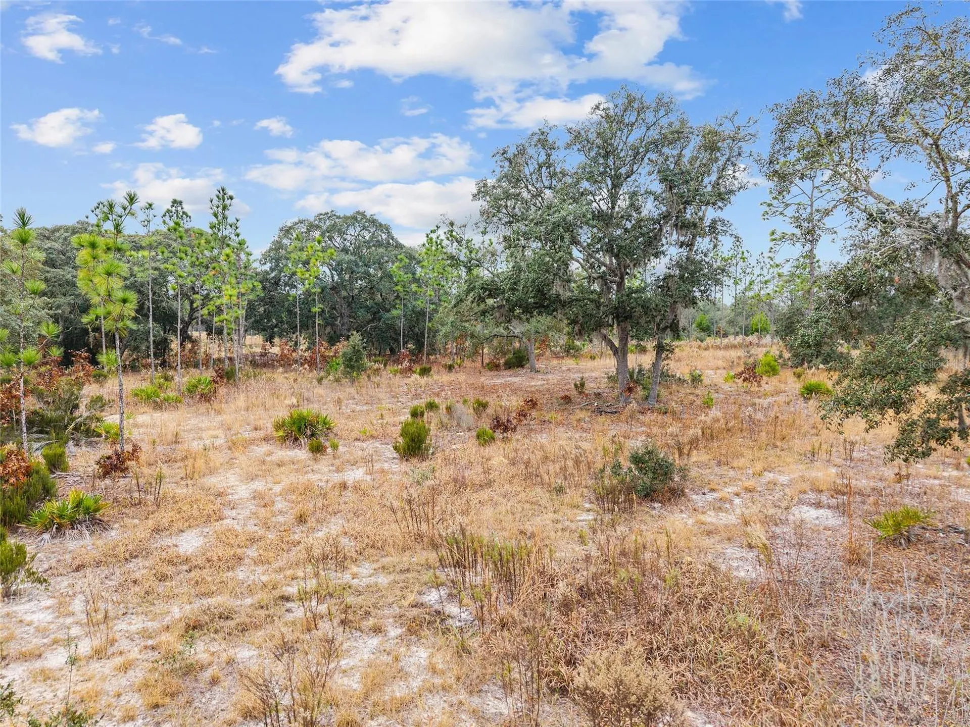 NE 131 Place Archer FL 32618
