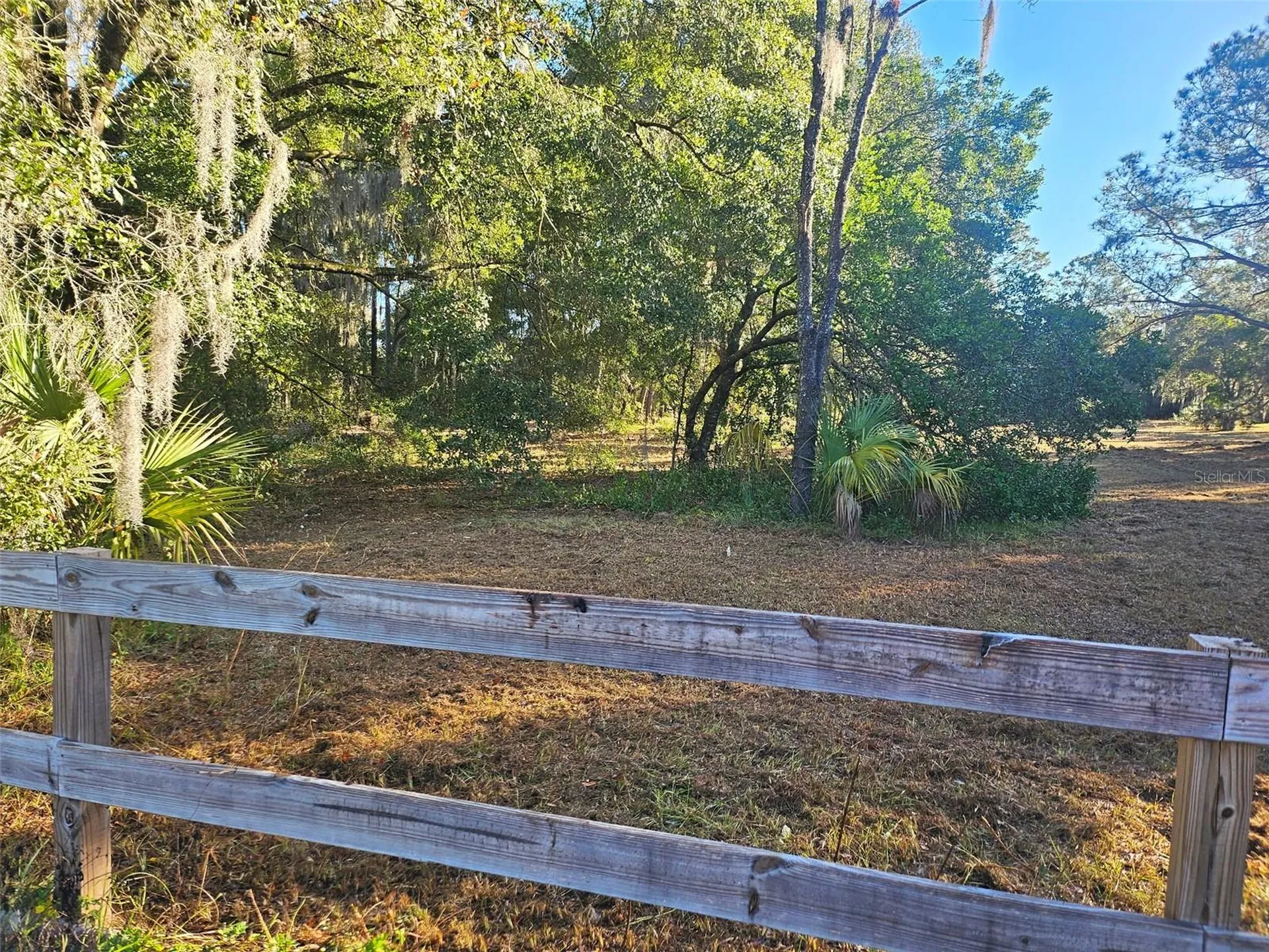 Hazen Road Deland FL 32724